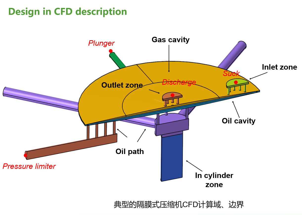 隔膜式压缩机整机建模和流固热耦合计算直播算例-流场模型