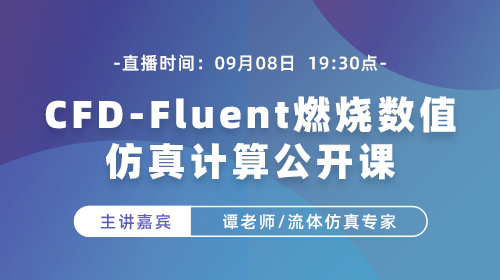 CFD-Fluent燃烧数值仿真计算公开课