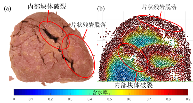 2025MatDEM奖学金：考虑块石崩解的红层土石混合体三轴试验模拟分析