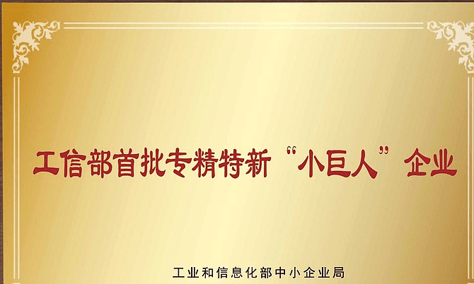 工信部谈专精特新“小巨人”企业：明年继续加大培育力度