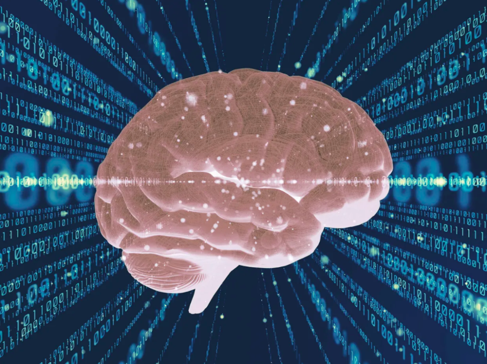 信息大脑如何从物理大脑中涌现？