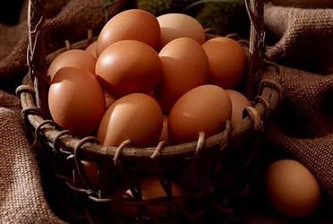 从辨别鸡蛋看惯性定律