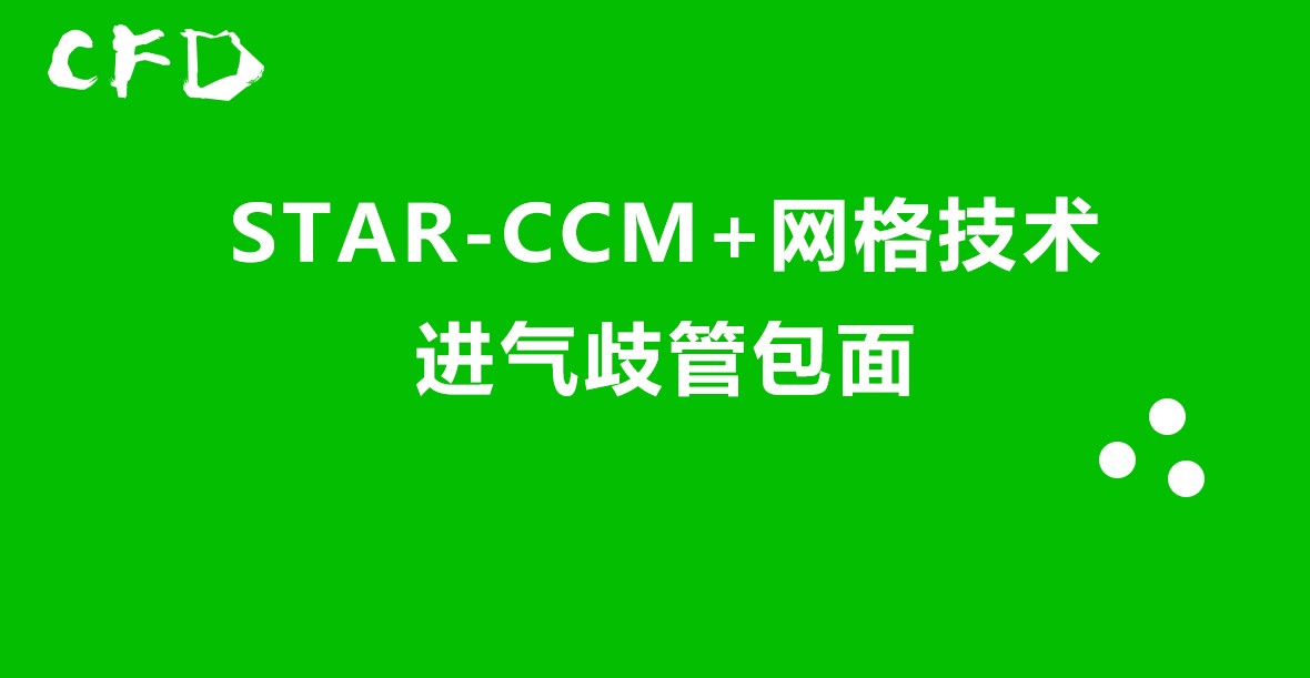 STAR-CCM 网格技术：进气歧管包面