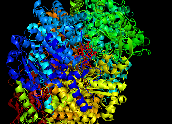 基于Gromacs模拟软件分析小分子配体与蛋白结合之后的稳定性