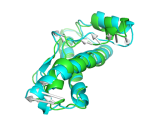 Gromacs分析处理-模拟前后蛋白结构差异对比图的制作