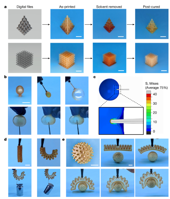 ​ 浙江大学Nature，高性能3D打印弹性体的最新设计方法！