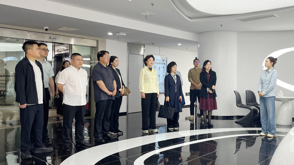 江宁区委统战部携手四川省欧美同学会代表团莅临天洑软件考察交流