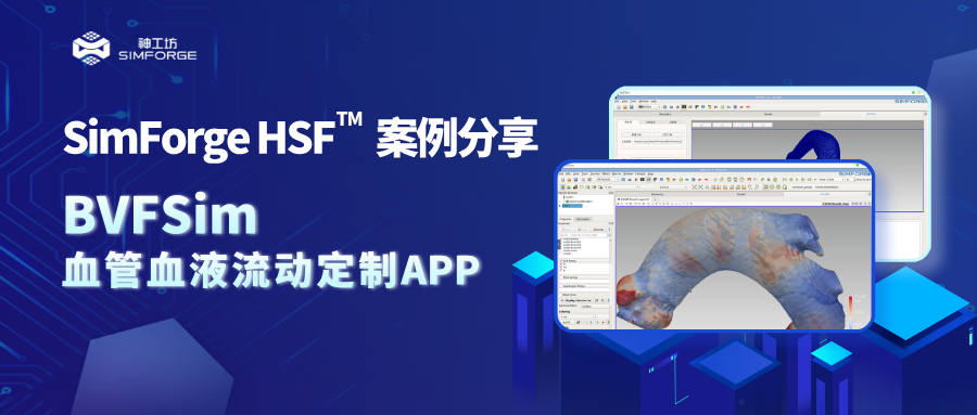 SimForge HSF™案例分享｜复杂仿真应用定制——BVFSim血管血液流动定制APP