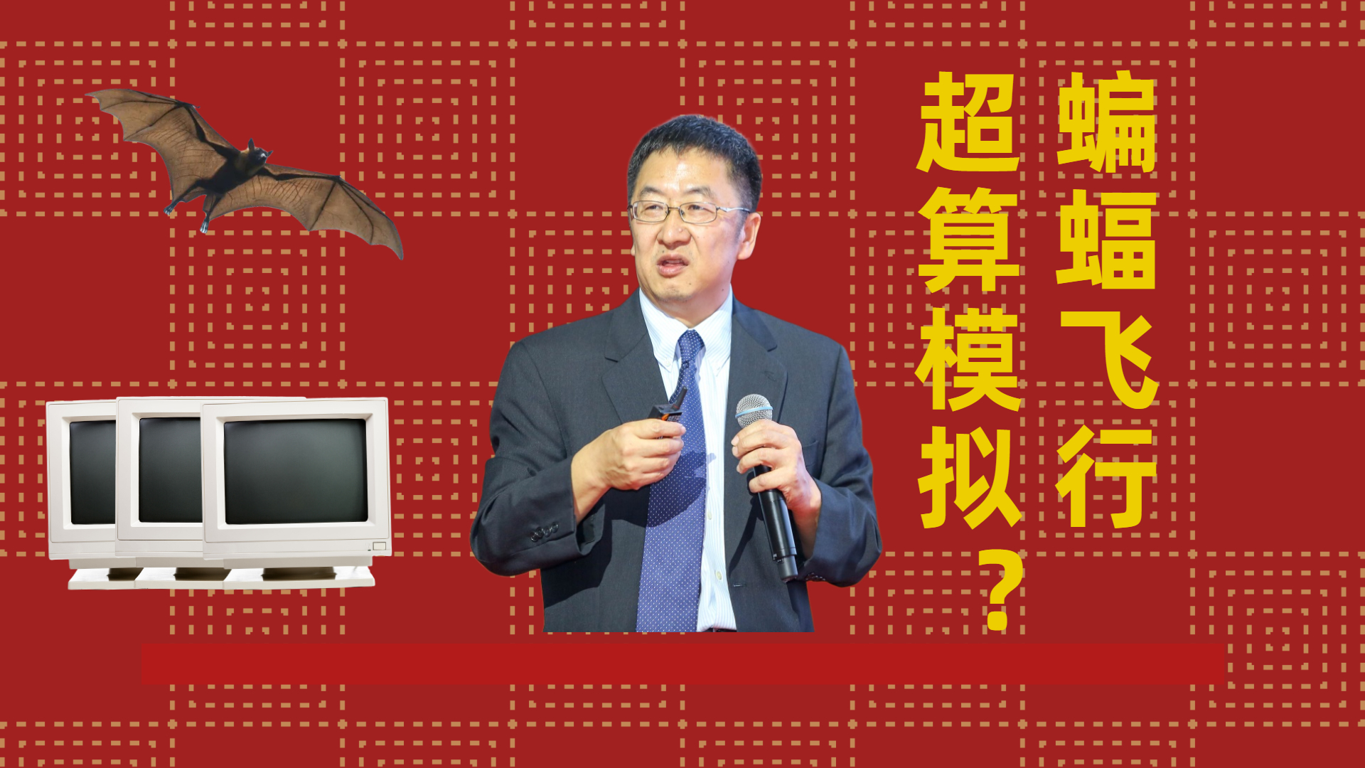中国科学院力学研究所何国威：从蝙蝠飞行到超算模拟