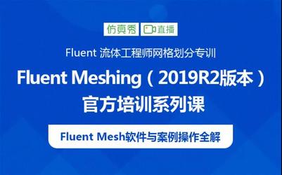 Fluent Meshing 官方培训系列课（2019 R2版本）