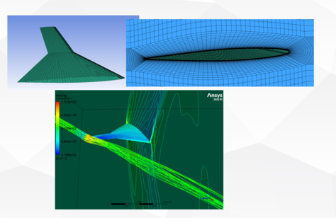 基于ICEM的双段机翼（飞翼）结构网格划分与升阻力分析