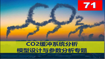第71期 CO2缓冲系统模型设计与参数分析专题