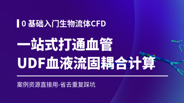 生物流体力学CFD基础入门24讲：打通血管UDF代码/Fluent血液和流固耦合计算全流程