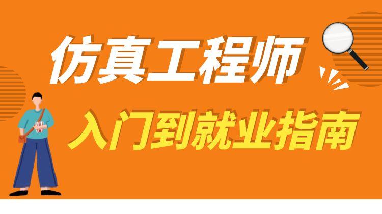 仿真工程师从入门到就业指南