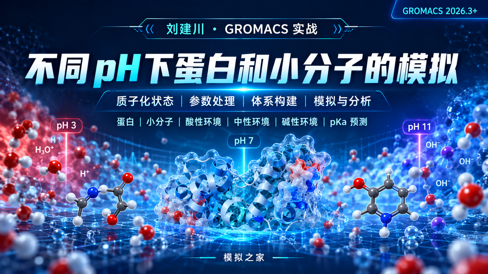 刘建川・GROMACS 实战课（专题九） | 不同PH下蛋白和小分子的模拟