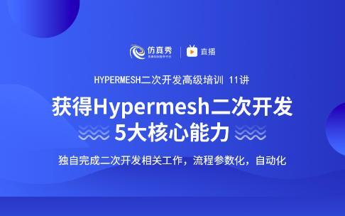 高级课程11讲 掌握Hypermesh二次开发5大核心能力