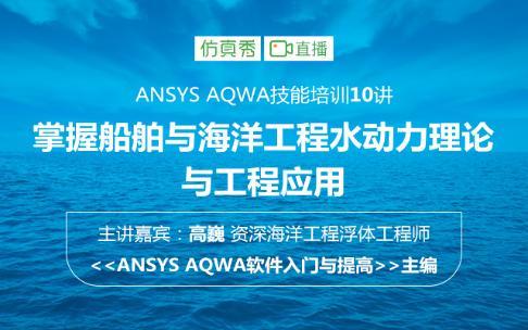 ANSYS AQWA技能培训10讲 —掌握船舶与海洋工程水动力理论与工程应用（二）