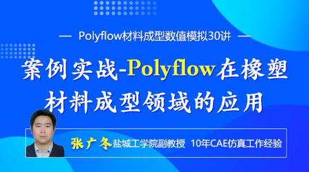 Ansys Polyflow材料成型数值模拟30讲-案例实战-Polyflow在橡塑材料成型的应用