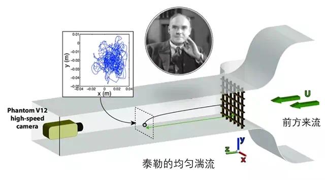 流体力学之