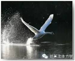 刘沛清教授专栏：大型飞机的增升装置（高升力装置）