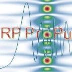 RP ProPulse 脉冲传输模拟|全面解析