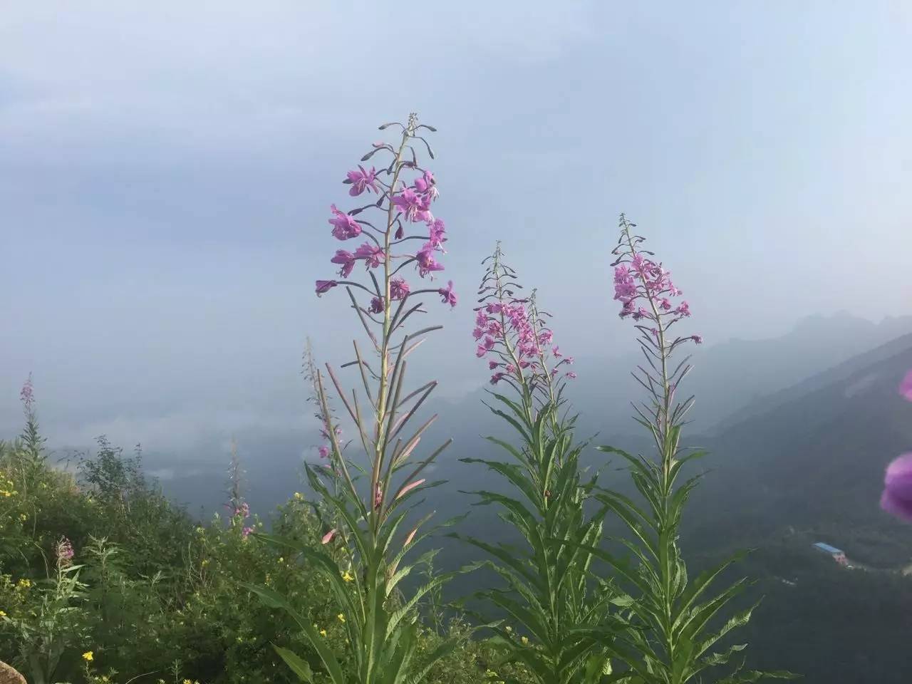 当计算机有了智能，这一代人将被淘汰