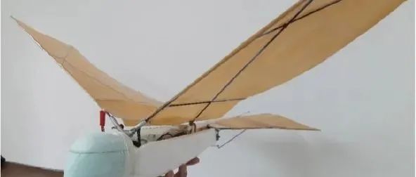 【飞行模型】Roborni Ornithopter机械鸟扑翼机构3D图纸 F3D STEP格式