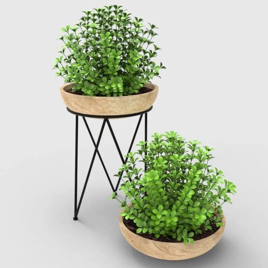 【生活艺术】plant-28小绿叶植物盆栽模型3D图纸 Solidworks2021