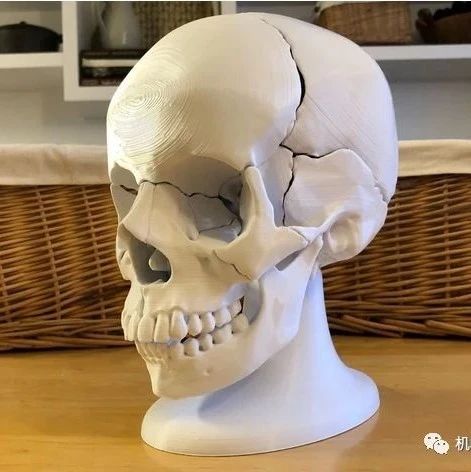 【3D打印】全尺寸解剖人头骨模型3D打印图纸 STL格式