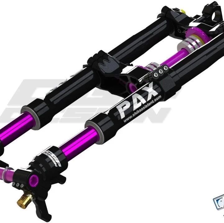 【工程机械】Pinki摩托车前悬架3D数模图纸 Solidworks设计 附IGS