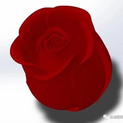 【生活艺术】玫瑰花花蕊模型3D图纸 Solidworks设计