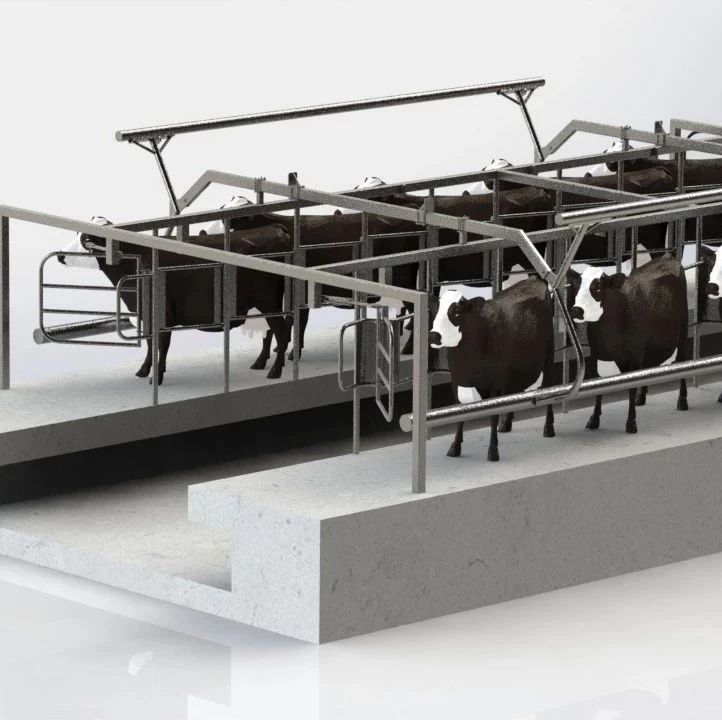 【农业机械】人字形挤奶圈栏3D数模图纸 Solidworks设计