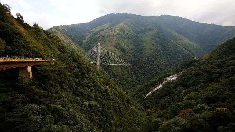 设计失误导致哥伦比亚在建斜拉桥垮塌
