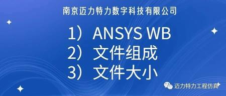ANSYS WB文件组成和大小