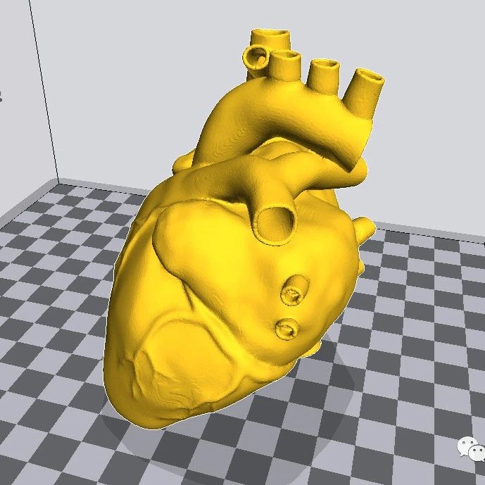 【3D打印】人类心脏模型3D打印图纸 STL格式
