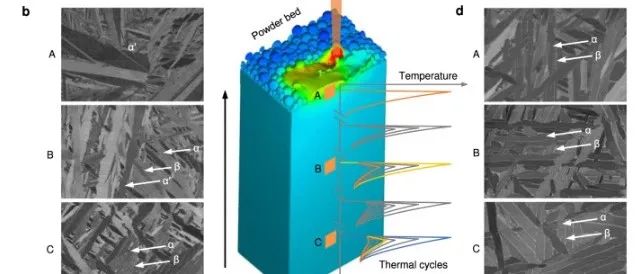 重庆大学Nature子刊丨增材制造钛合金取得重要进展！