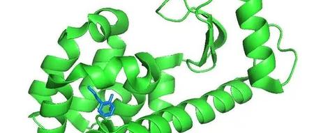 GROMACS计算蛋白-配体相互作用以及力场构建