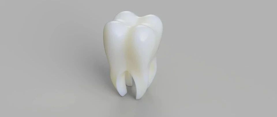 用SolidWorks画一个牙齿，纪念我刚失去的那颗牙