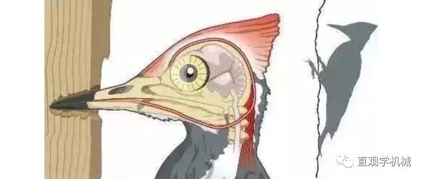 安全帽竟与它有关，夏天太热，不爱戴安全帽？看这个试试！