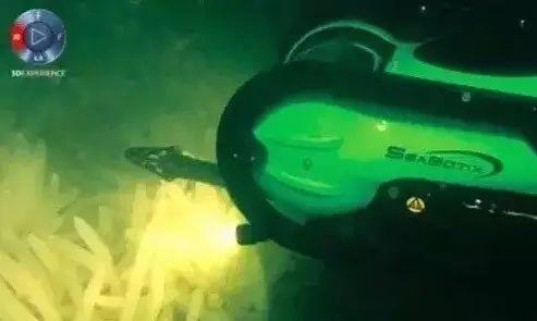 流水线机械手不稀奇，这个能水下清理深水炸弹的机器人是怎么造出来的？