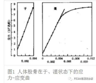 人体骨头的力学简介