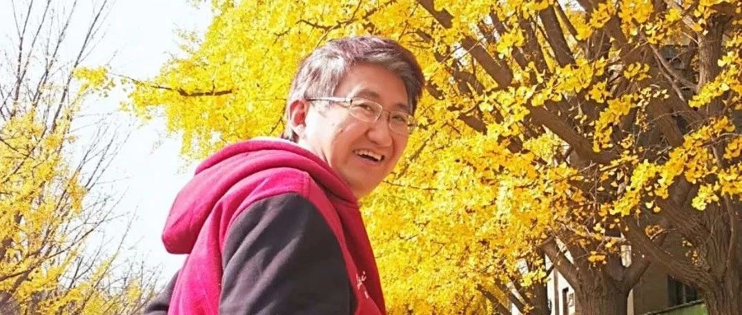信息孤岛、劳动分工与系统观念