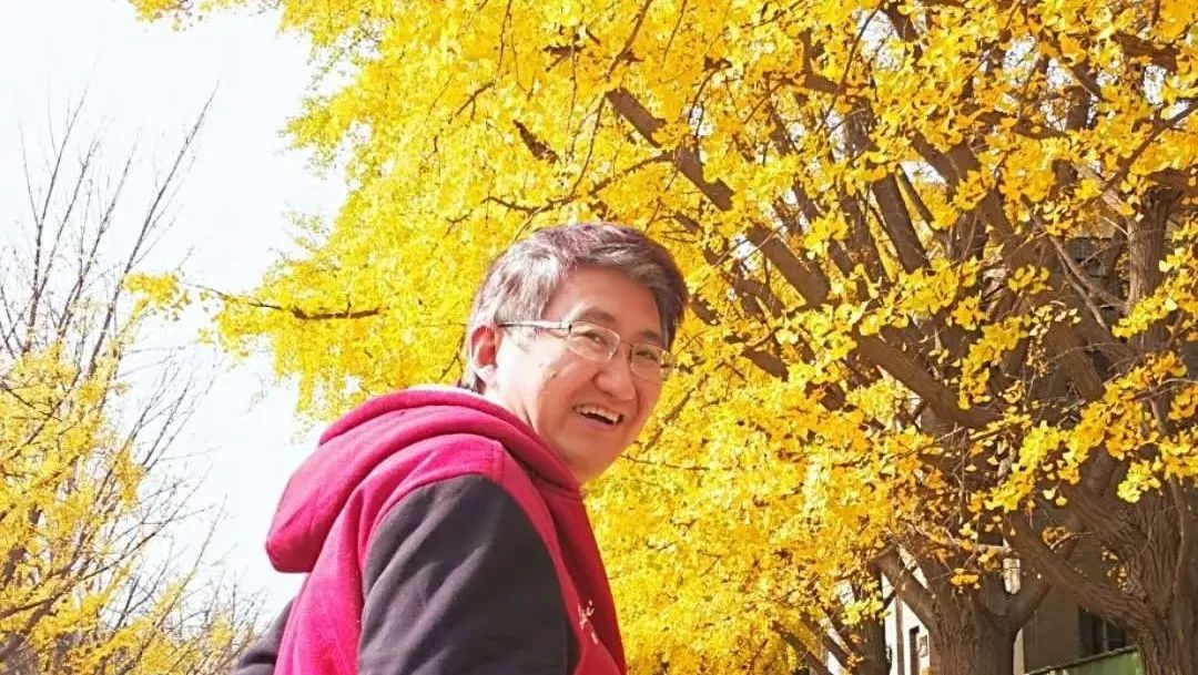 数据分析：人和算法的关系
