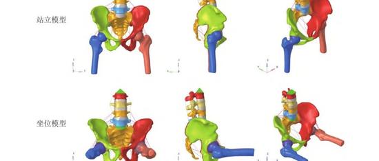 腰椎—骨盆—髋关节有限元模型建立及生物力学分析