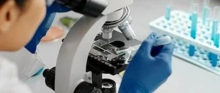 重科研是一种病，工程教育应该“回归工程”。你认同这一观点吗？