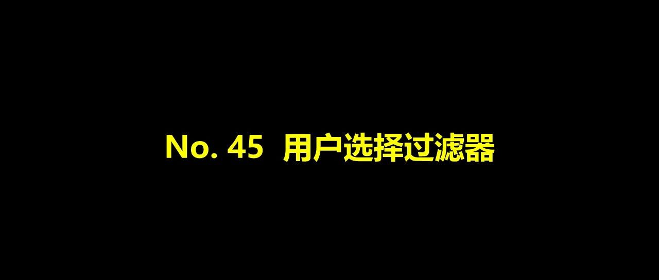 No. 45 用户选择过滤器