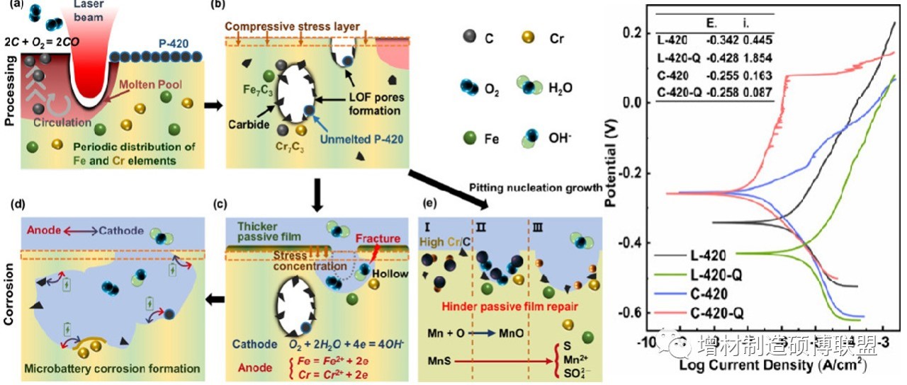 武汉理工朱晓萌顶刊丨内部缺陷对激光粉末床熔融420不锈钢腐蚀行为的影响
