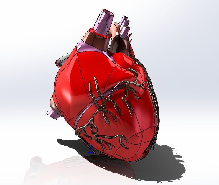 【生活艺术】heart人的心脏模型3D图纸 igs格式_SolidWorks-仿真秀干货文章