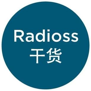 【Radioss干货】弹簧的内力和弯矩计算