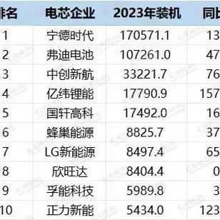 2023年中国市场动力电池装机量TOP10配套解析！